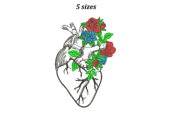 Anatomical Heart in Flowers: A Designer’s Review